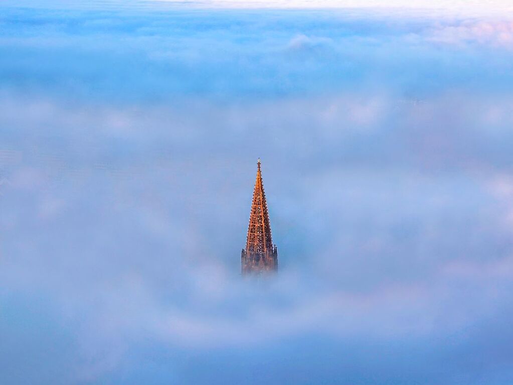 Blick vom Schlossbergturm Freiburg auf die Mnsterspitze