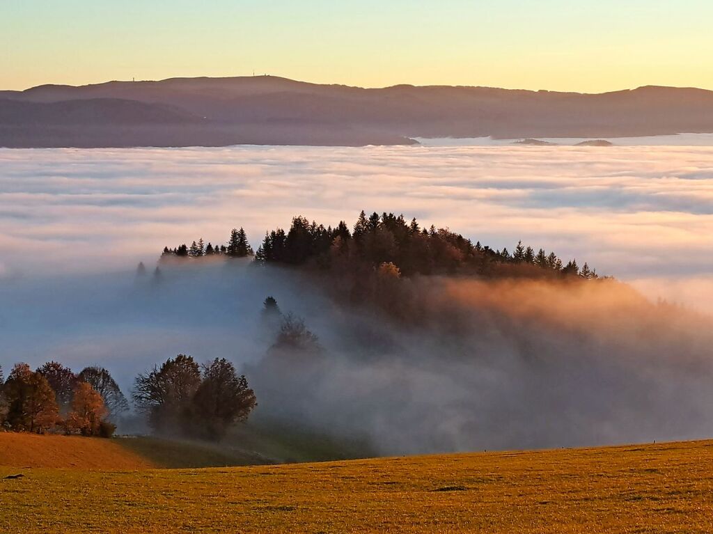 Hochwald mit Blick auf St. Peter