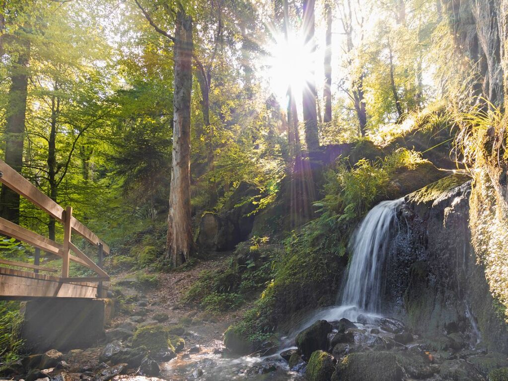 Wasserfall am Altersbach am Fue des Kandels