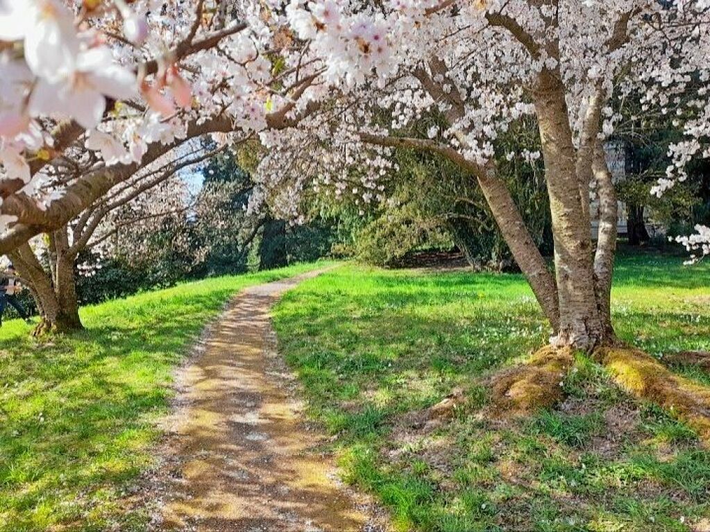 Weg zur Stourdza-Kapelle,  Baden-Baden