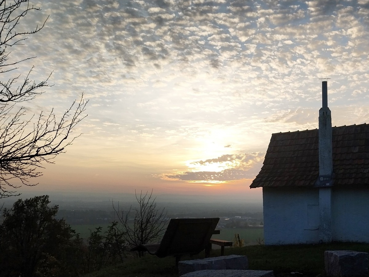 Das sonnige Rebhsli „Alpenblick“ liegt zwischen Binzen und Fischingen im sdlichen Markgrflerland