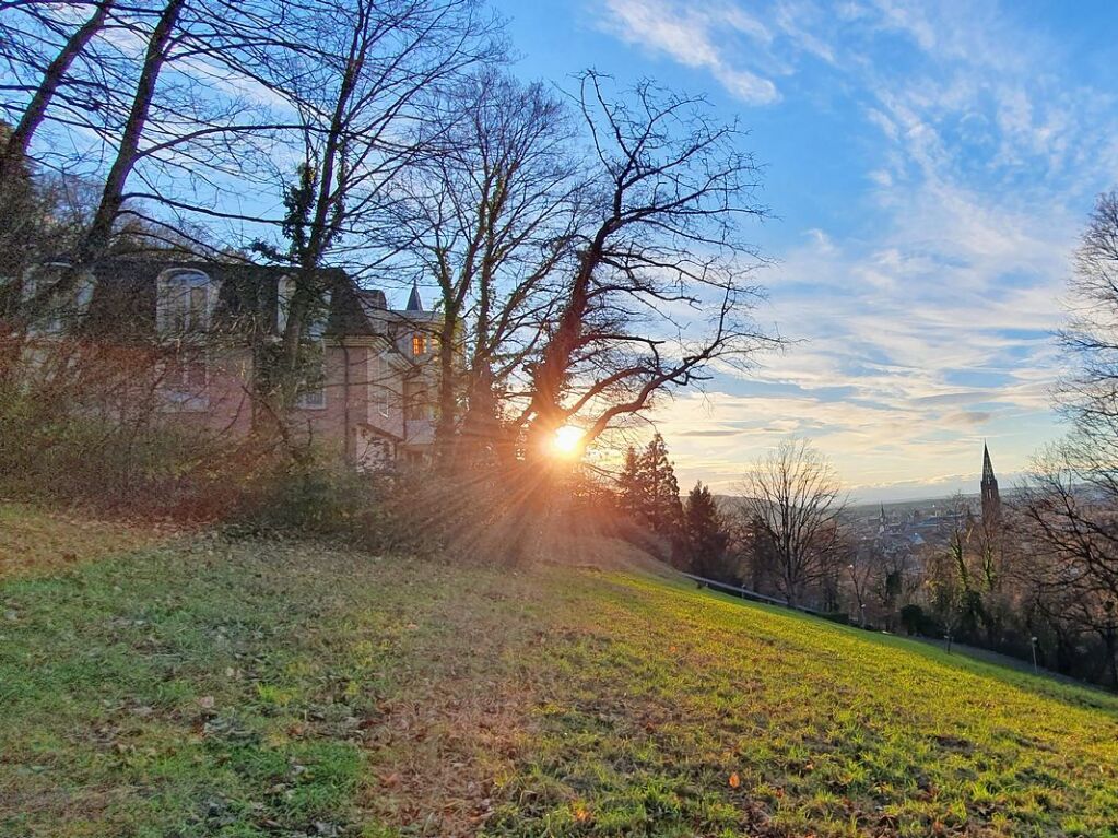 Auf dem Freiburger Schlossberg