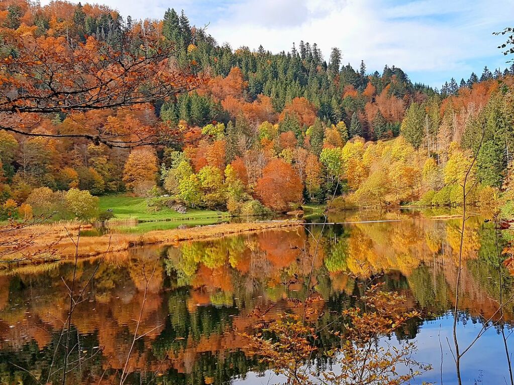 Nonnenmattweiher im Kleinen Wiesental