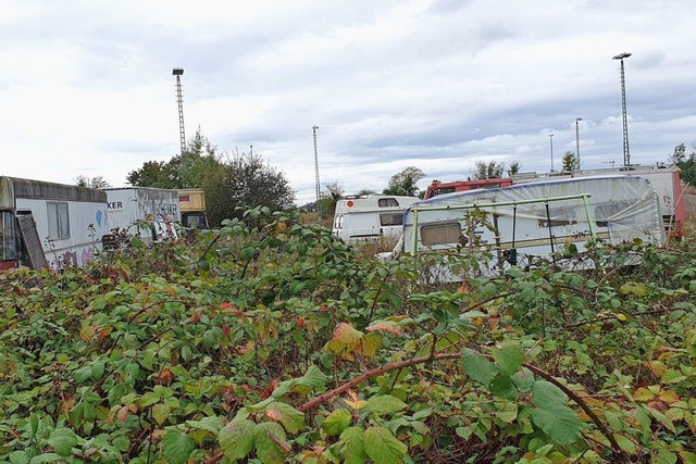 Eine Menschengruppe campte rund fnf M...akko, Deichmann und Rewe. (Archivfoto)  | Foto: Hannes Selz