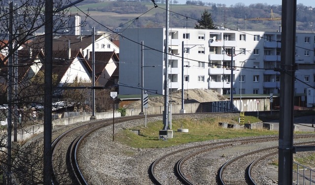 Im Hintergrund die Gebude des Weiler Stadtteils Friedlingen  | Foto: Herbert Frey