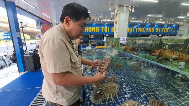 Professor Peter Ng untersucht Riesenas... einem Fischmarkt in Hanoi in Vietnam.  | Foto: Nguyen Thanh Son/Pensoft Publishers/dpa