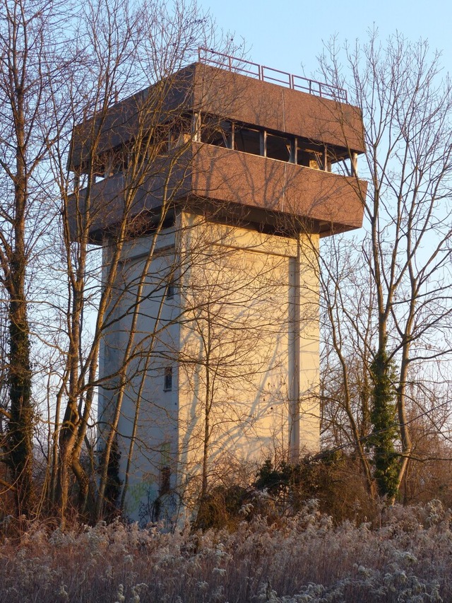 Der Turm im Rheinwald  | Foto: Dirk Sattelberger