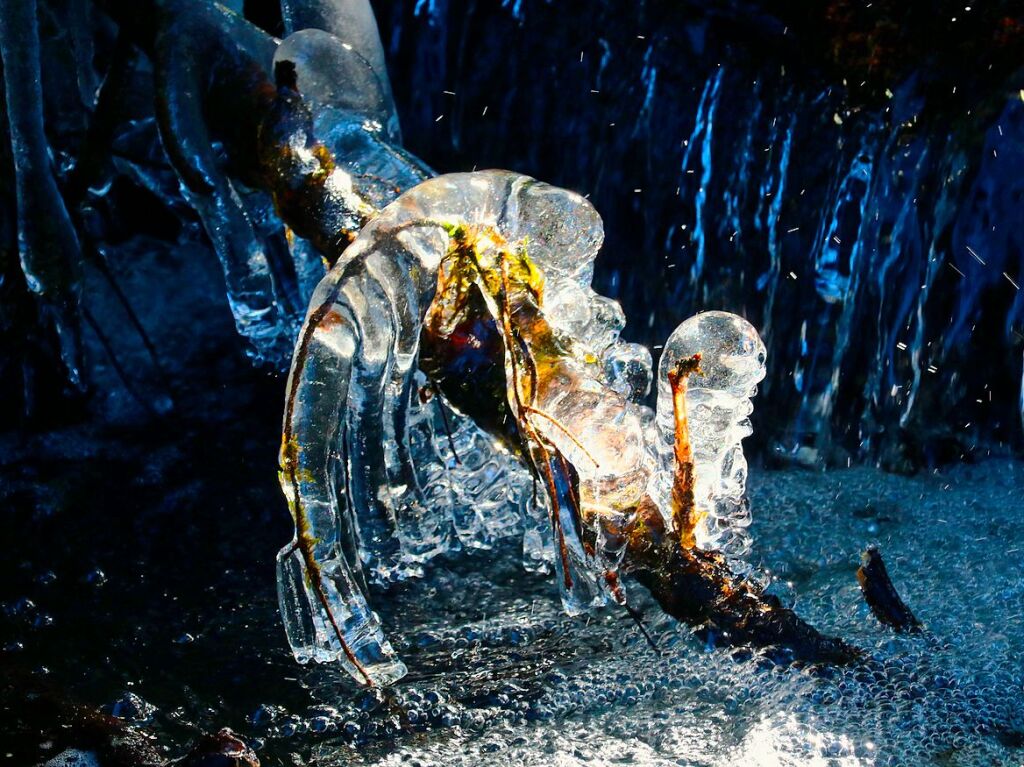 Eiszeit: Die Natur schafft Kunstwerke, und dieses hat BZ-Leser Harald Hfler aus Heitersheim am Sulzbach aufgenommen  – mit den letzten Lichtstrahlen des Tages.