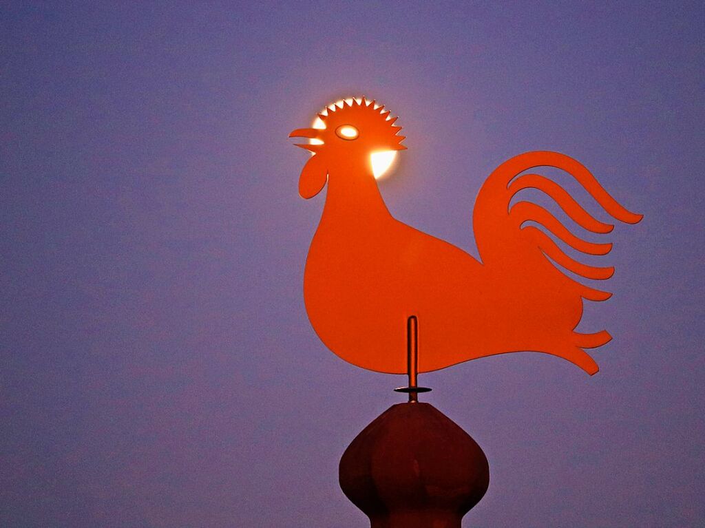 Guller mit Glorienschein: Der Vollmond setzt den Wetterhahn im Heitersheimer Rmerpark ins rechte Licht.