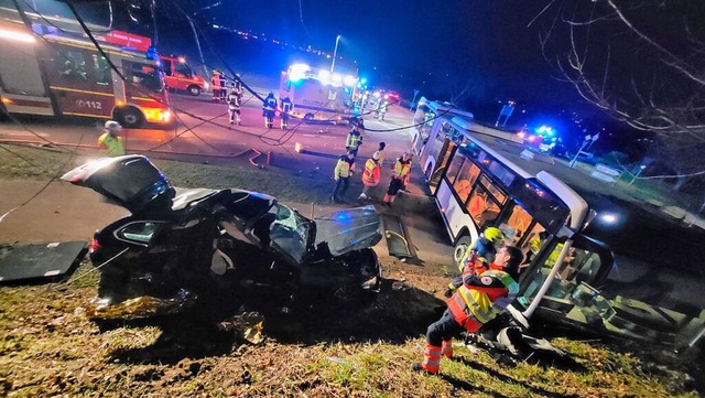 Bei dem Verkehrsunfall sind neun Menschen verletzt worden.  | Foto: Feuerwehr Mahlberg