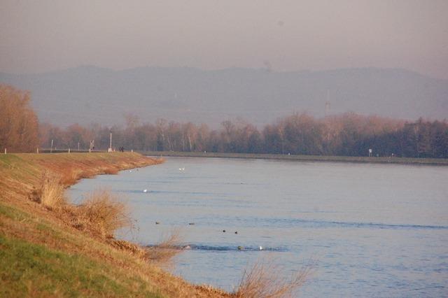 Projekt Rhinaissance: Das Ufer des Rheins wiederbeleben