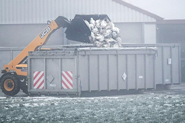 Keine neuen Vogelgrippe-Flle im Landkreis Schwbisch Hall