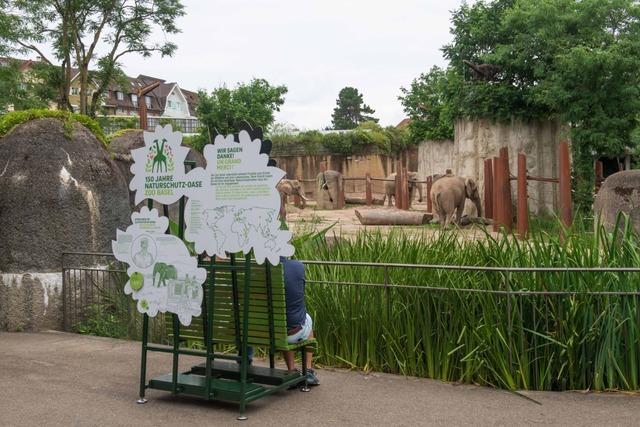 Keas und kleine Kudus sollen im Zoo Basel ein neues Zuhause erhalten