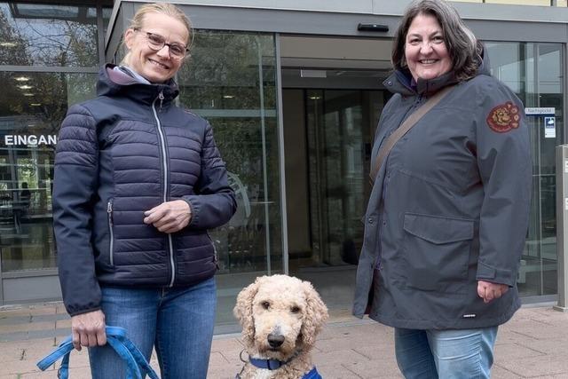 Als erster Therapiebegleithund darf Balou auf die Intensivstation des Freiburger Josefskrankenhauses