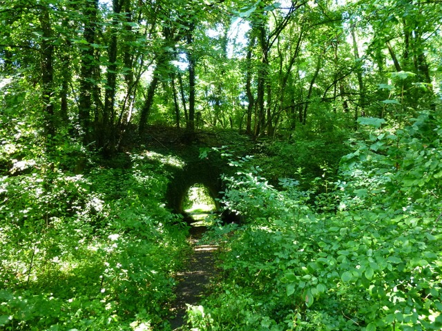 Das Naturschutzgebiet Krebsbachtal  | Foto: Hans-Dieter Nagel