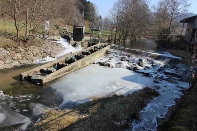 Simonswald streitet ber Fischtreppen