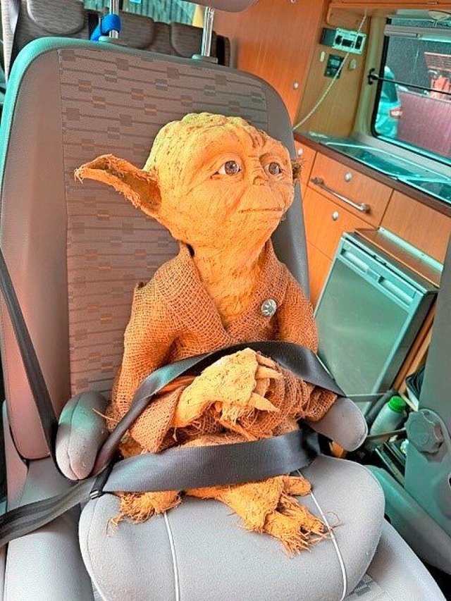 Die gemeinsame Heimfahrt im Auto hat Yoda gut berstanden.  | Foto: Heidi Tschamber