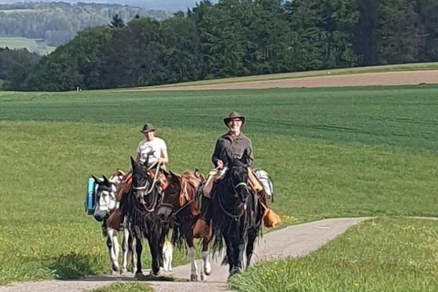 Mit Pferd, Muli und Hund nach Lettland