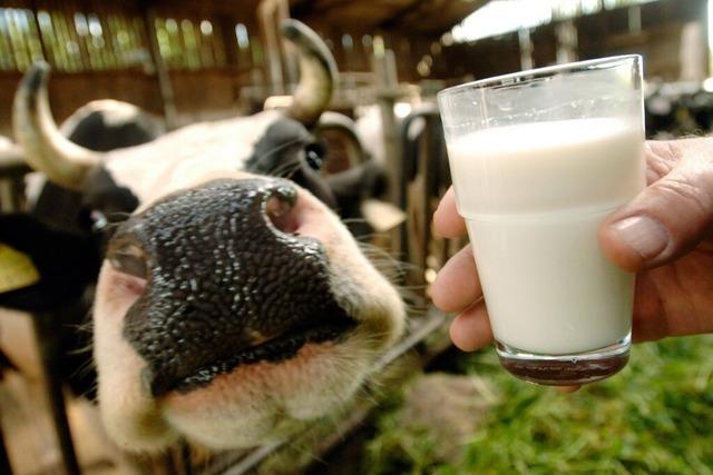 Maul- und Klauenseuche bereitet auch sdbadischen Bauern Sorgen