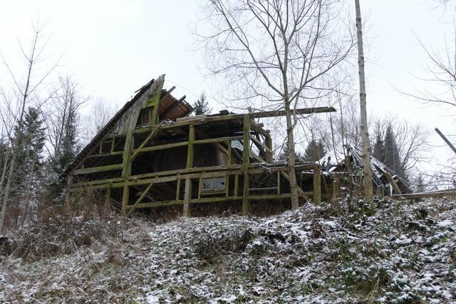 Zermahlen vom Zahn der Zeit: In Breitnau steht ein historisches "Kraftwerk" im Wald