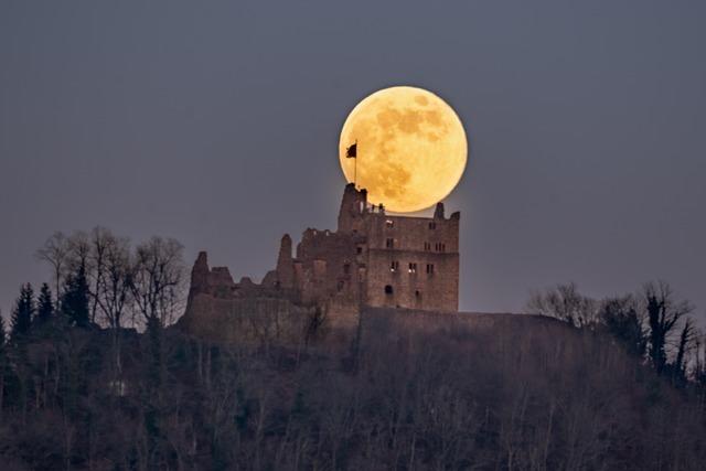 Wolfsmond ber der Burgruine in Seelbach