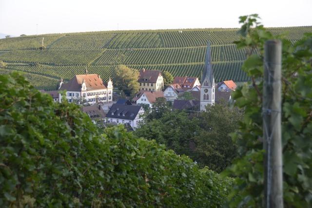 Ausblick auf 2025: Ebringens Brgermeister freut sich schon auf das Wein-Musik-Fest 2025