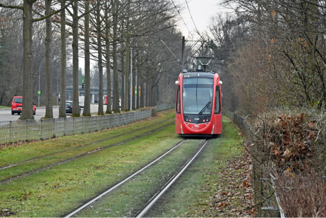 Das passiert in Freiburg im Jahr 2025