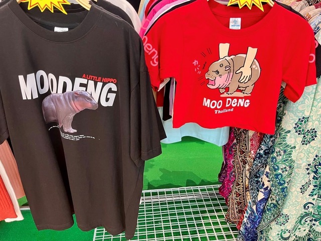 Besonders Moo-Deng-T-Shirts sind ein echter Kassenschlager.  | Foto: Angelique van Spijk/dpa