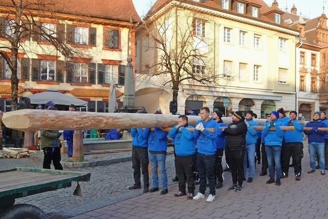 Der Schopfheimer Narrenbaum wird mit viel Muskelkraft gestellt