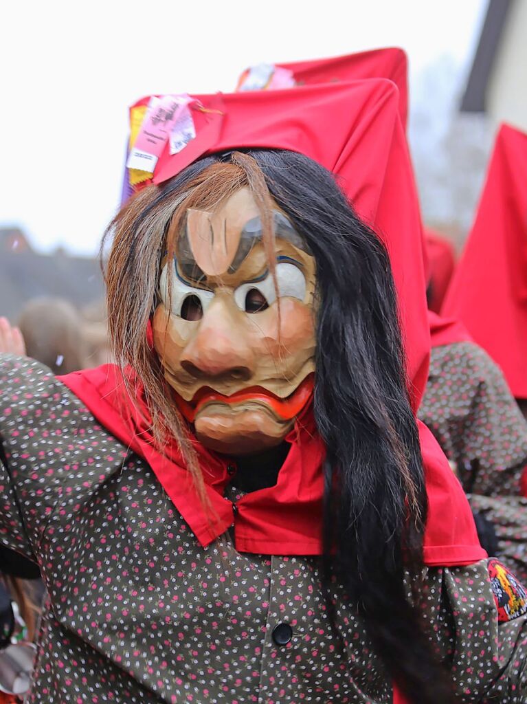 Stundenlang war Rust am Sonntagnachmittag in eine bunte Narrenhochburg verwandelt, in der fast 4000 Teilnehmer mit der Zunft den runden Geburtstag feierten.