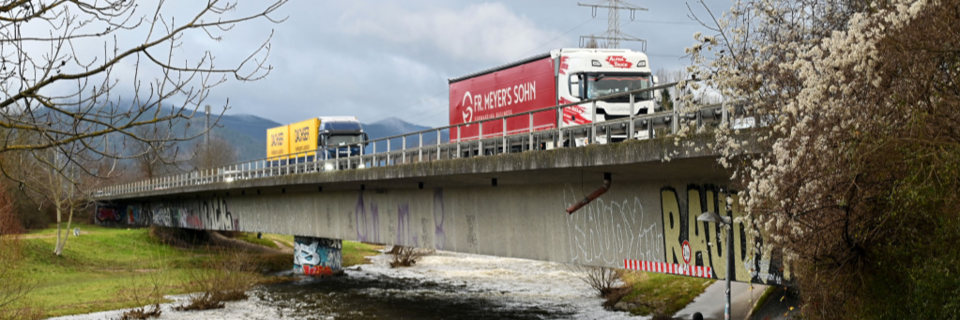 Mindestens eine der Brcken in Freiburg ber die Dreisam muss entlastet werden