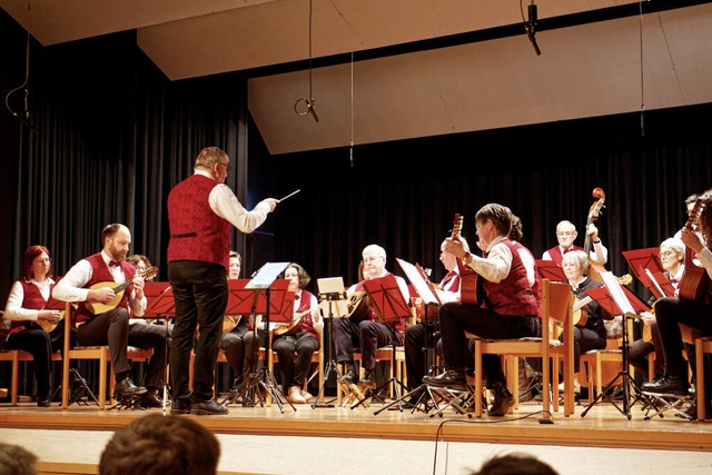 Der Mandolinen- und Gitarrenverein beeindruckte bei seinem Auftritt.  | Foto: Ruth Seitz