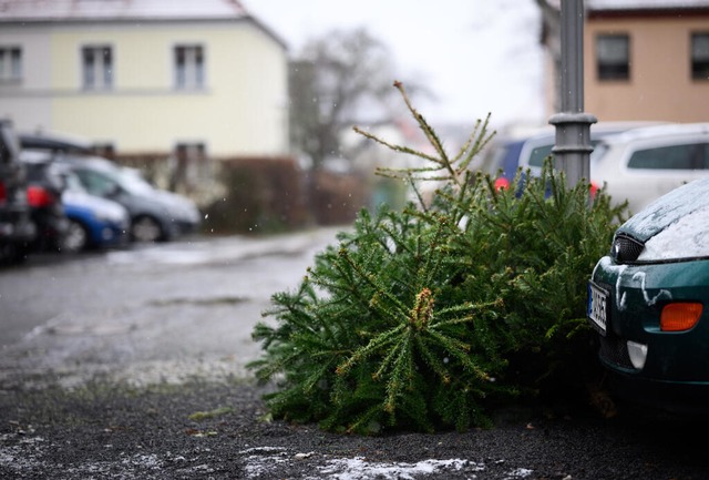 Ausgediente Weihnachtsbume hat der CV...ein und Haltingen wieder eingesammelt.  | Foto: Bernd von Jutrczenka / dpa 