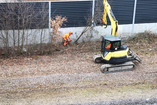 Bahngelnde in Grenzach-Wyhlen wird offenbar als Lagerplatz fr Hochrheinbahn-Ausbau freigerumt