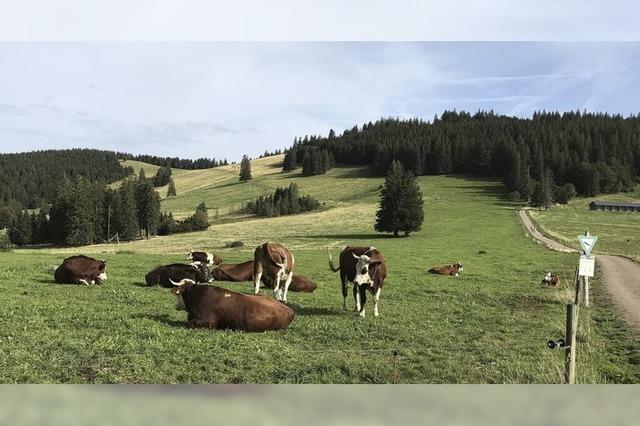 Naturpark-Jubilum wurde gro gefeiert