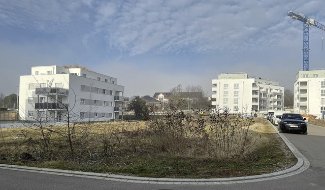 Auf dieser Flche im Westen des Neubau... weitere Mehrfamilienhuser entstehen.  | Foto: Alexander Huber