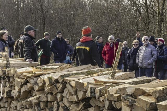 Holzversteigerung