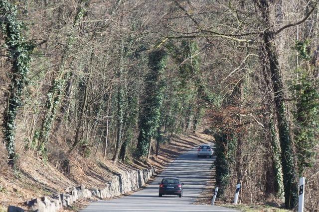 Forst setzt bei Verkehrssicherung im Weiler Rebgarten auf Transparenz und Nachhaltigkeit