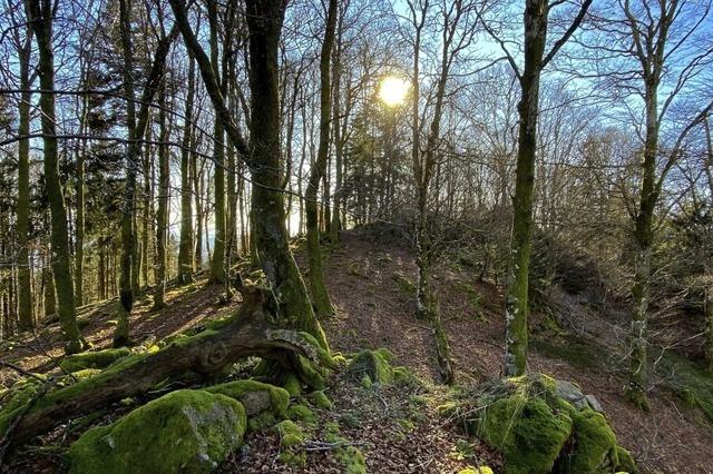 Magische Pltze auch im Kleinen Wiesental