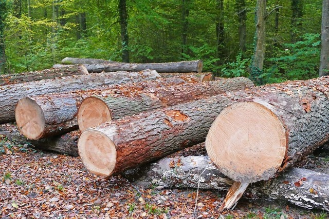 Noch wird mit dem Holzverkauf Gewinn erzielt.  | Foto: Victoria Langelott