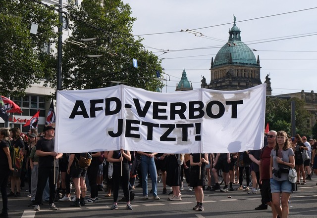 Bei einer Demonstration in Leipzig im ...eilnehmer ein AfD-Verbot. (Archivbild)  | Foto: Sebastian Willnow/dpa