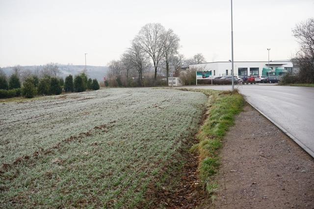 In Ettenheim entsteht ein neues Gewerbegebiet in den Wolfsmatten