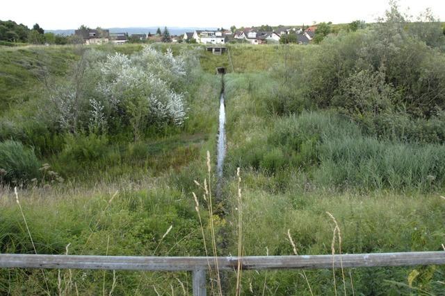 Das Baugebiet Erlenmatten II ist beschlossene Sache - Baubeginn knnte im Sommer sein