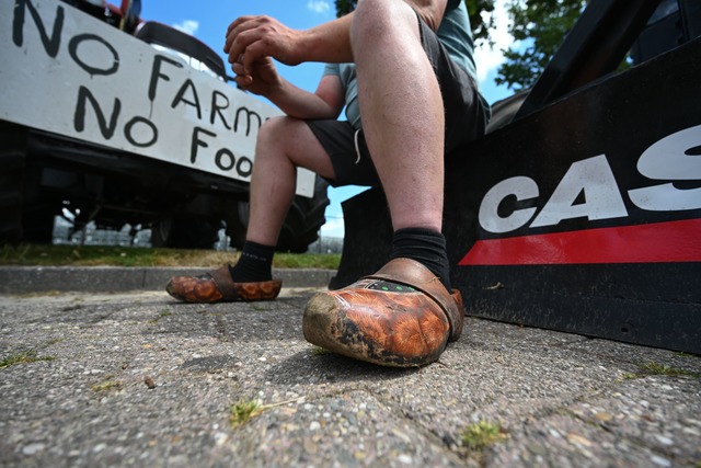 Mehrfach hatten Landwirte in den verga...weltauflagen protestiert. (Archivbild)  | Foto: Lars Klemmer/dpa