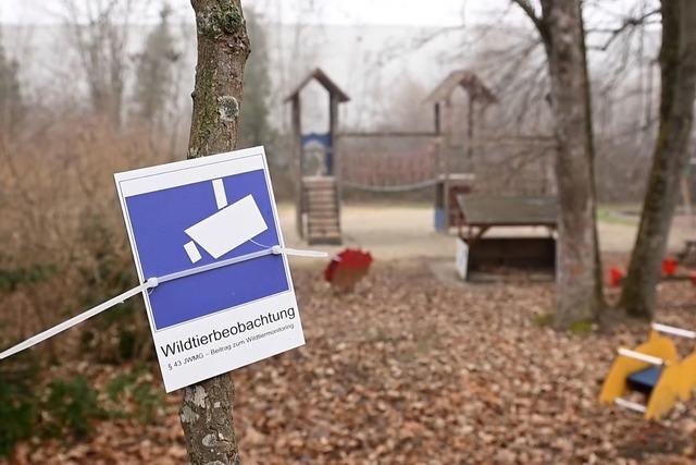 Kindergarten baut Sperre gegen Wildtiere