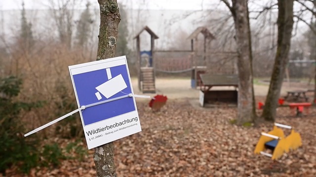 Ein Breisacher Kindergarten will F&uuml;chse und Wildschweine fernhalten.  | Foto: Silas Stein/dpa