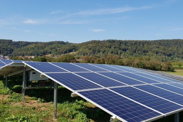 Vier Flchen in Rheinfelden sollen fr Photovoltaik freigehalten werden