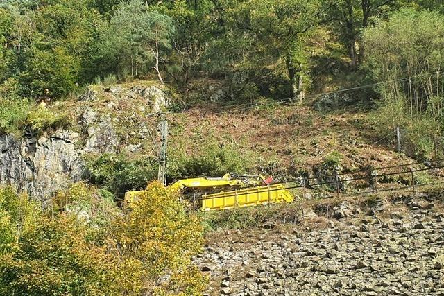 Kommt es im Schwarzwald hufiger als frher zu Felsstrzen?