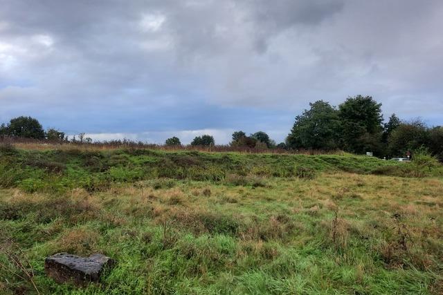 Wenn in Teningen Schafe unter Solaranlagen weiden