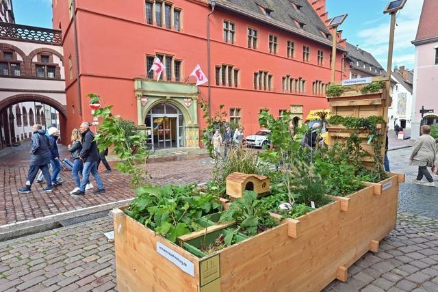 Die Stadt als kleine grne Insel